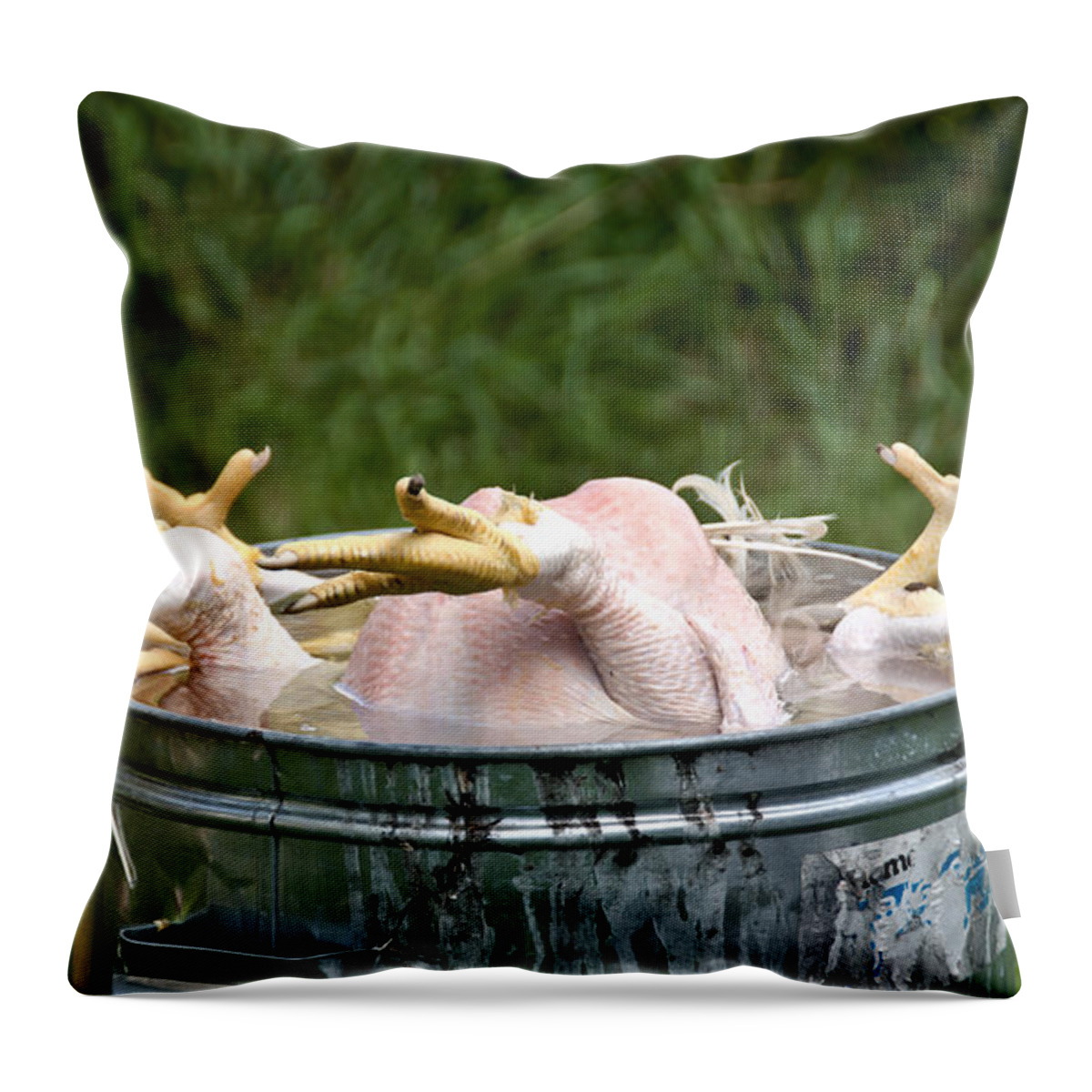 Chickens Throw Pillow featuring the photograph Chicken Feet by Cheryl Baxter