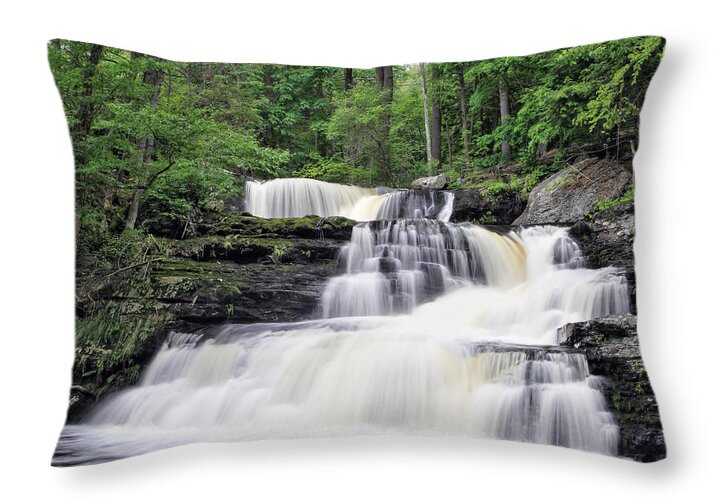Color Throw Pillow featuring the photograph Childs Park by Dawn J Benko