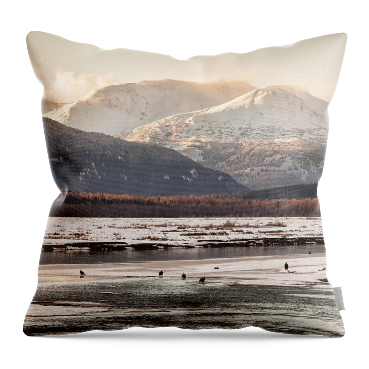 Alaska Throw Pillow featuring the photograph Chilkat Bald Eagle Preserve in winter by Michele Cornelius