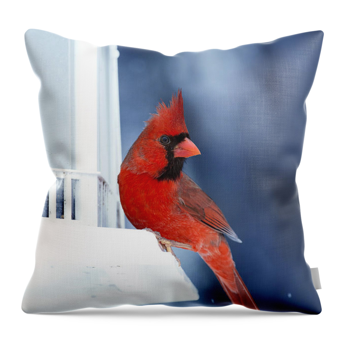 Cardinal Throw Pillow featuring the photograph Chilly Cardinal Blues by Bill and Linda Tiepelman