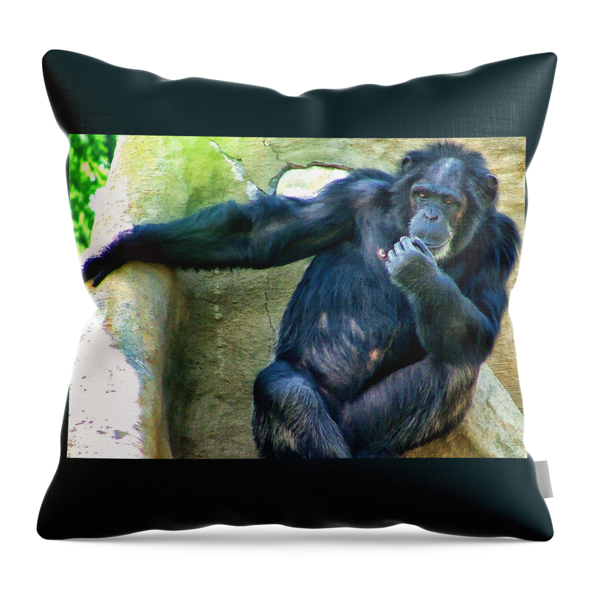 Primate Throw Pillow featuring the photograph Chimp 1 by Dawn Eshelman