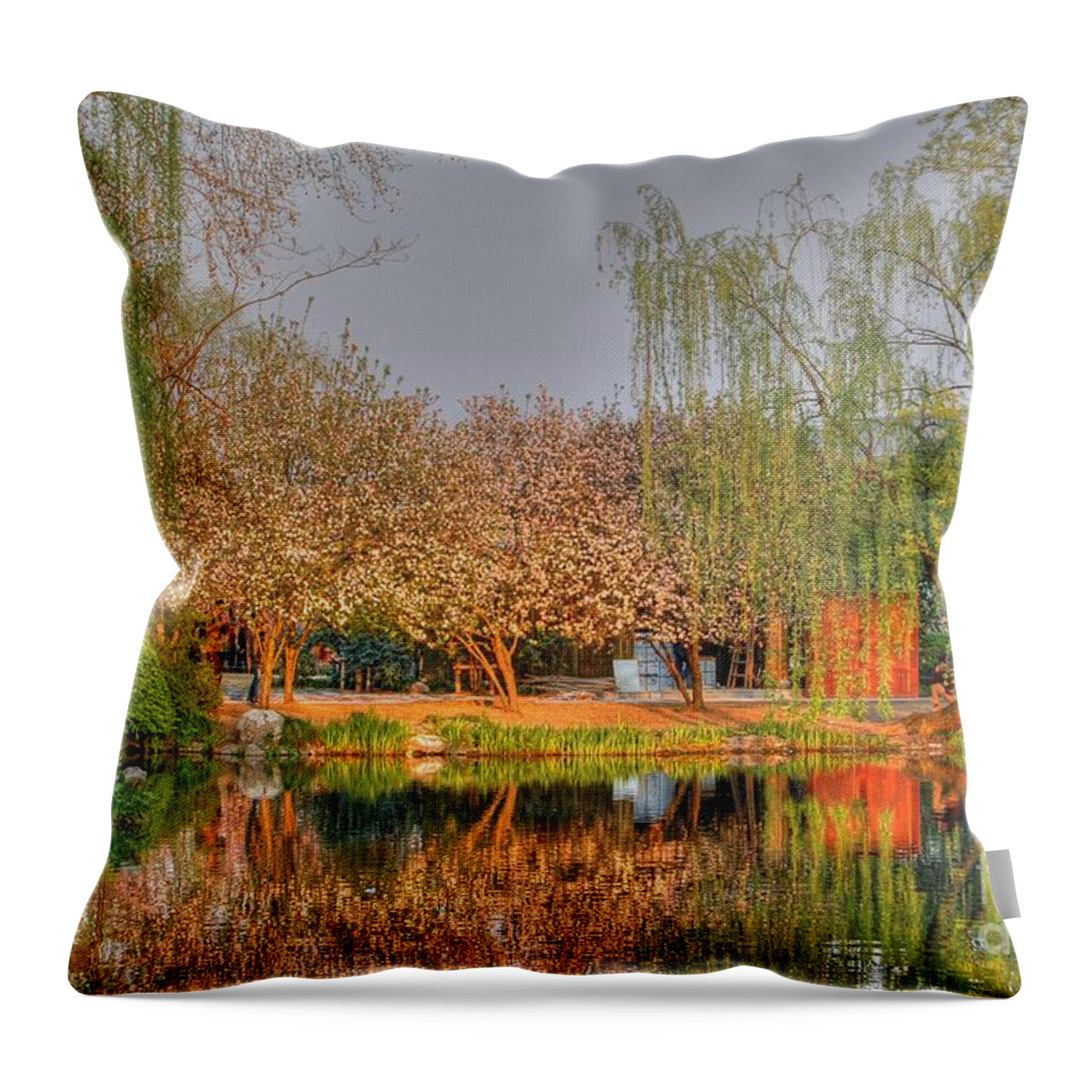 Asia Throw Pillow featuring the photograph Chineese Garden by Bill Hamilton