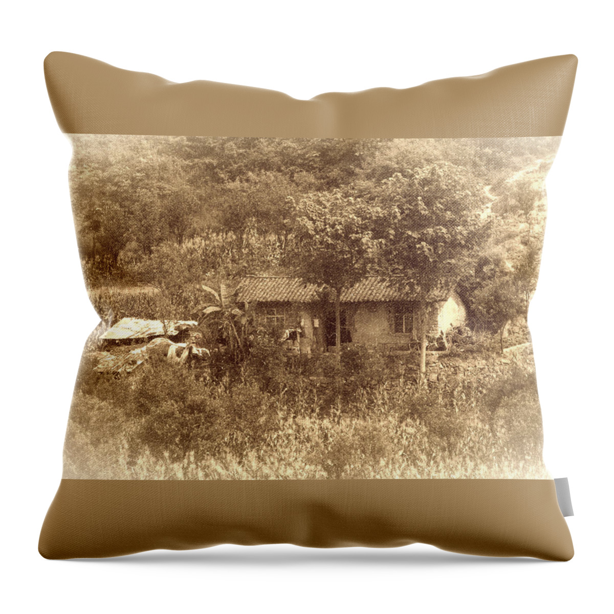 Chinese House Throw Pillow featuring the photograph Chinese house by Tracy Winter