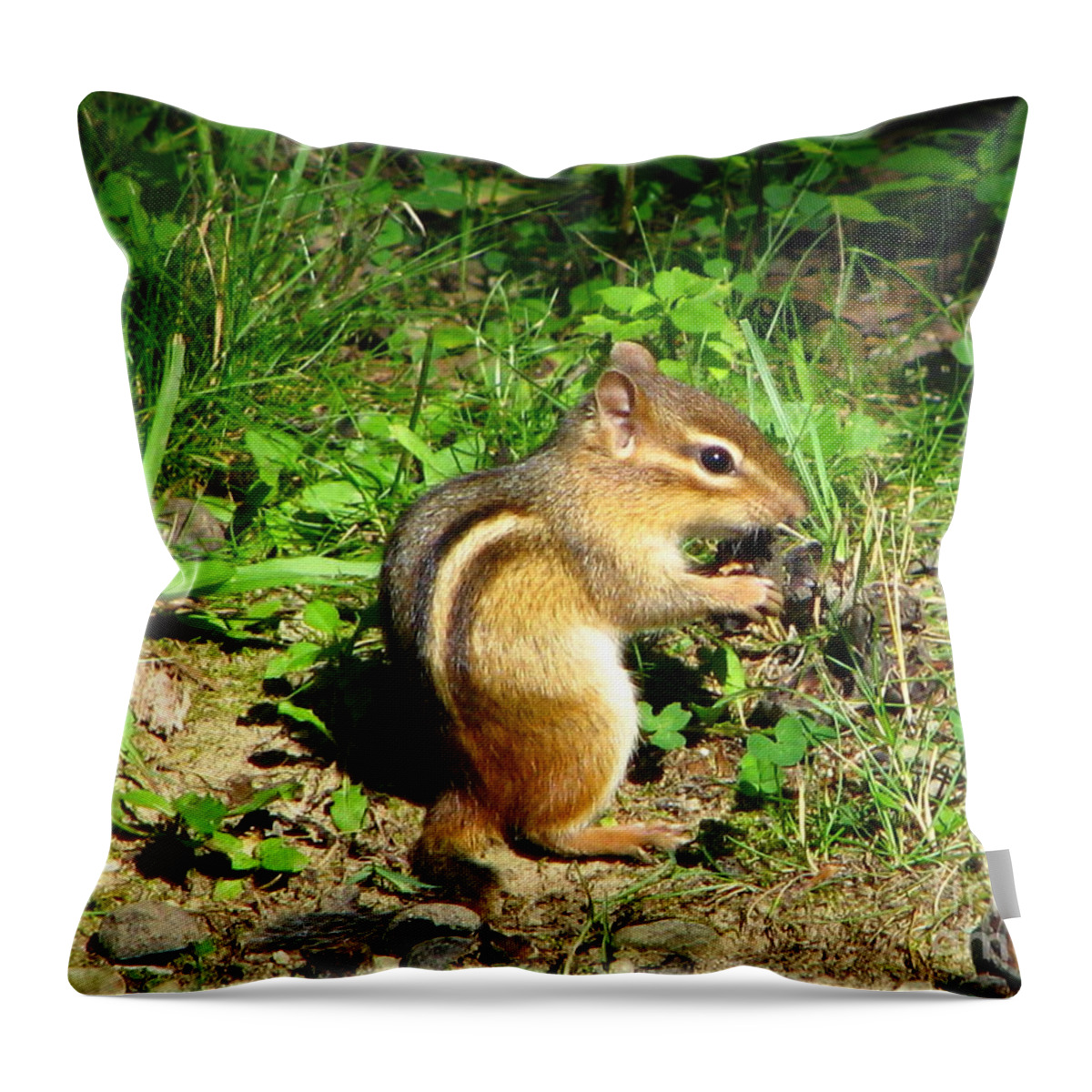 Chipmunk Throw Pillow featuring the photograph Chippy by Michael Krek