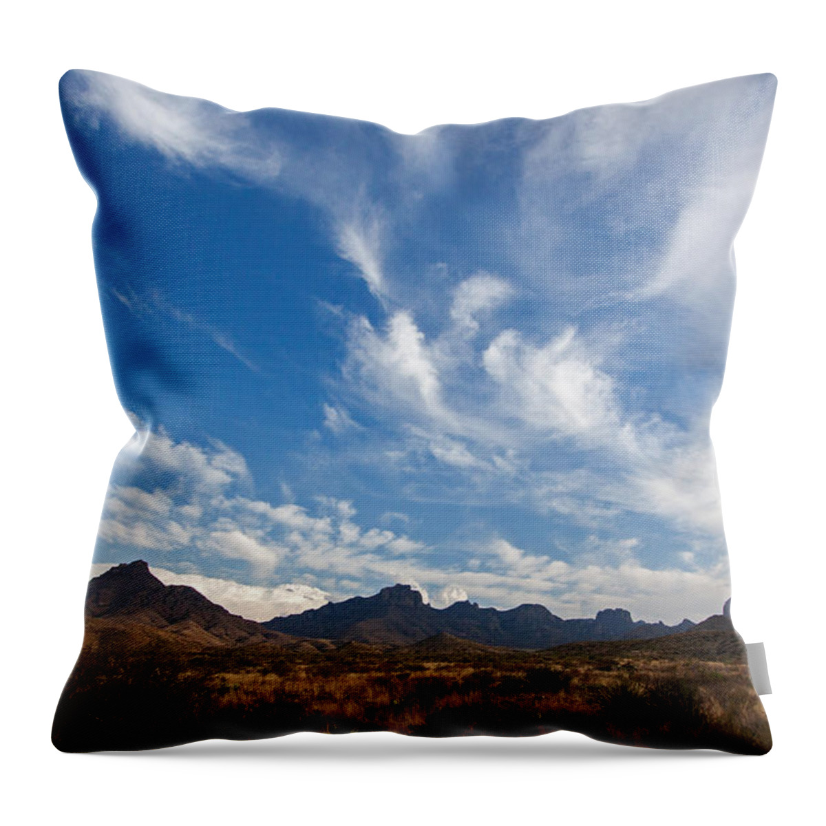 Chisos Throw Pillow featuring the photograph Chisos Mountains by Ronnie Prcin