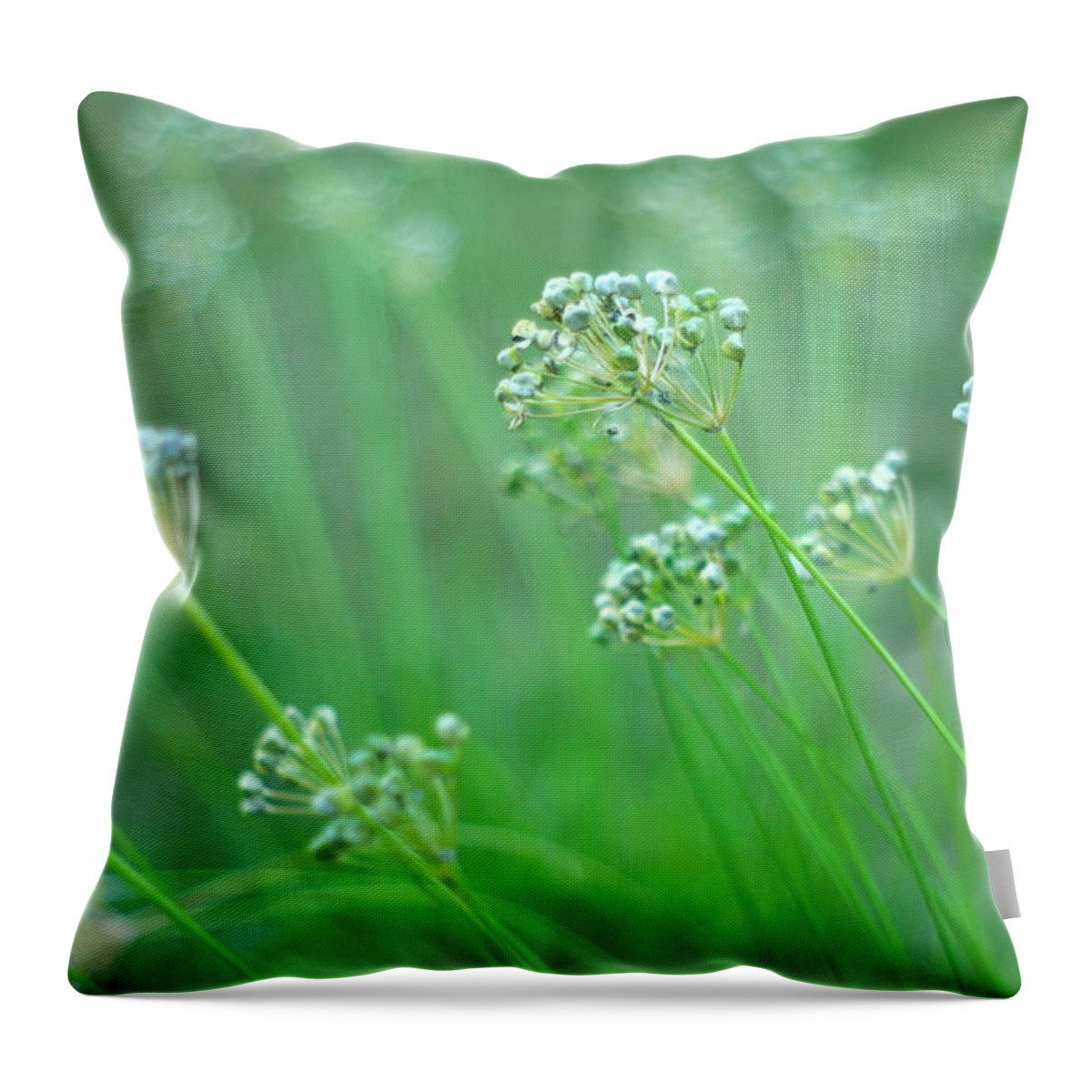 Chive Throw Pillow featuring the photograph Chive Garden by Suzanne Powers