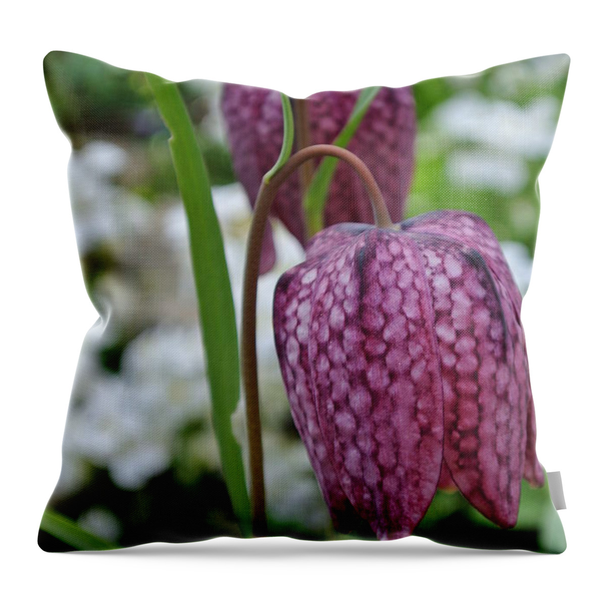  Throw Pillow featuring the photograph Chocolate Lily by Sharron Cuthbertson