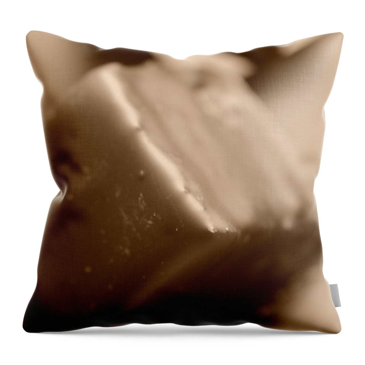 Love Throw Pillow featuring the photograph Chocolate Squares by Miguel Winterpacht