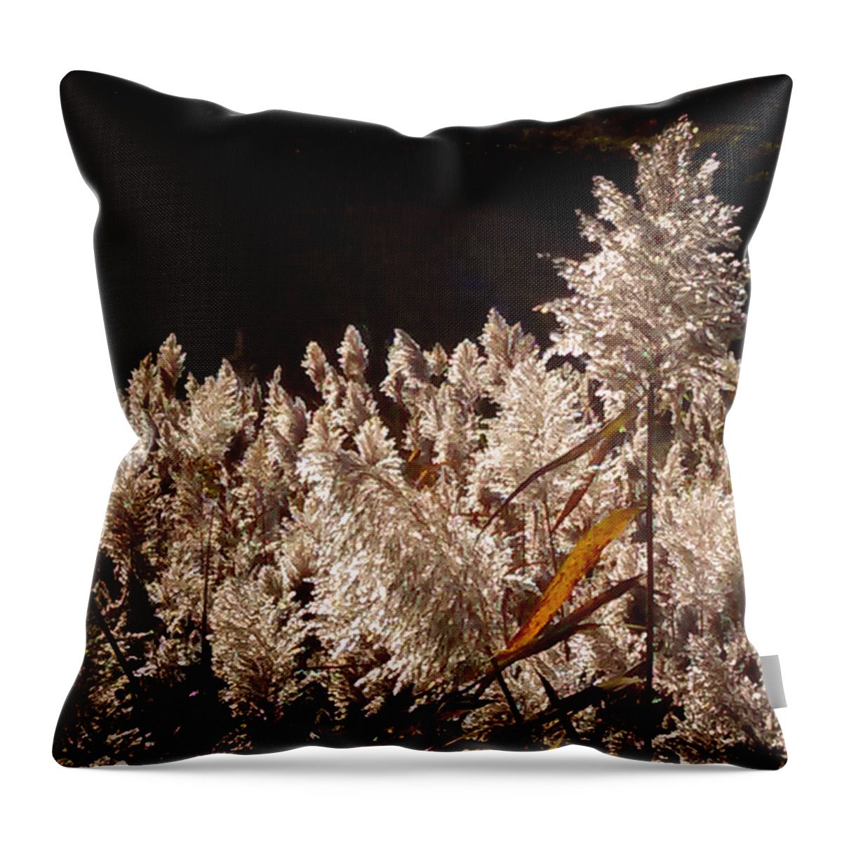 2014 Throw Pillow featuring the photograph Choose Me by George Harth