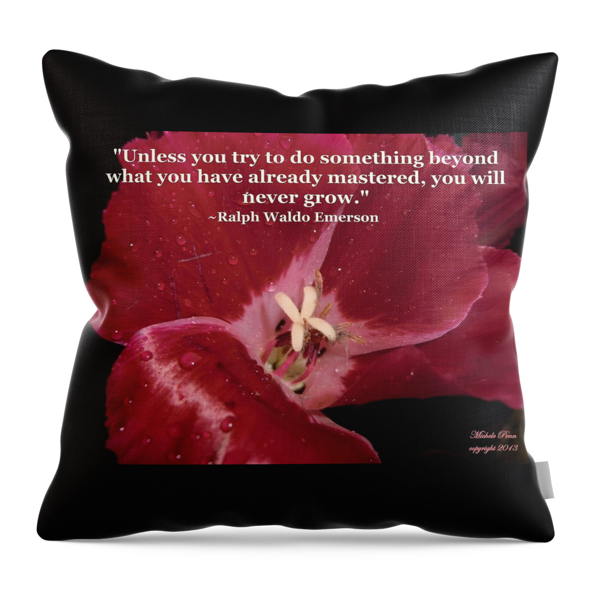 Red Throw Pillow featuring the photograph Choose your Quote Choose your Picture 9 by Michele Penn