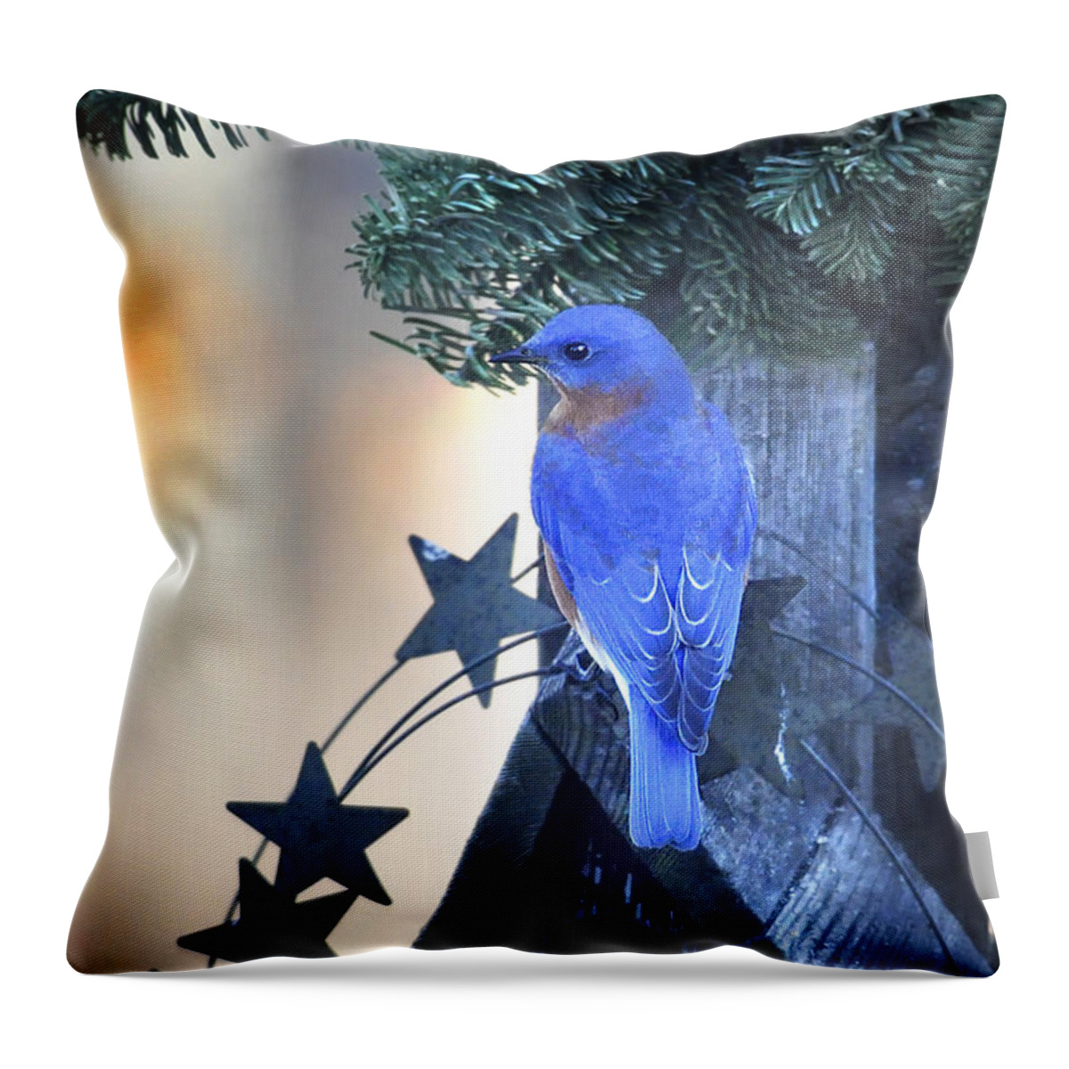 Nature Throw Pillow featuring the photograph Christmas Bluebird by Nava Thompson