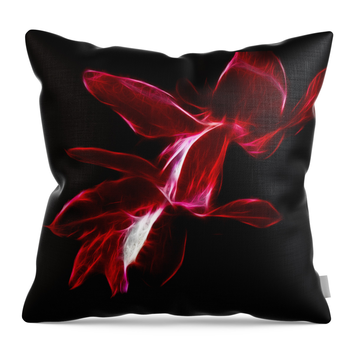 Christmas Cactus Flower Throw Pillow featuring the photograph Christmas Cactus Flower by Shane Bechler