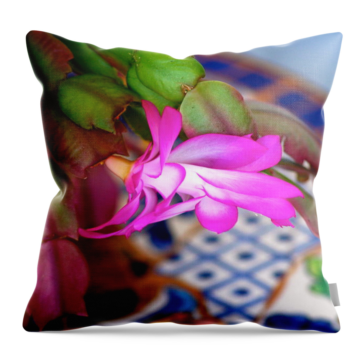 Plants Throw Pillow featuring the photograph Christmas Cactus by Lehua Pekelo-Stearns