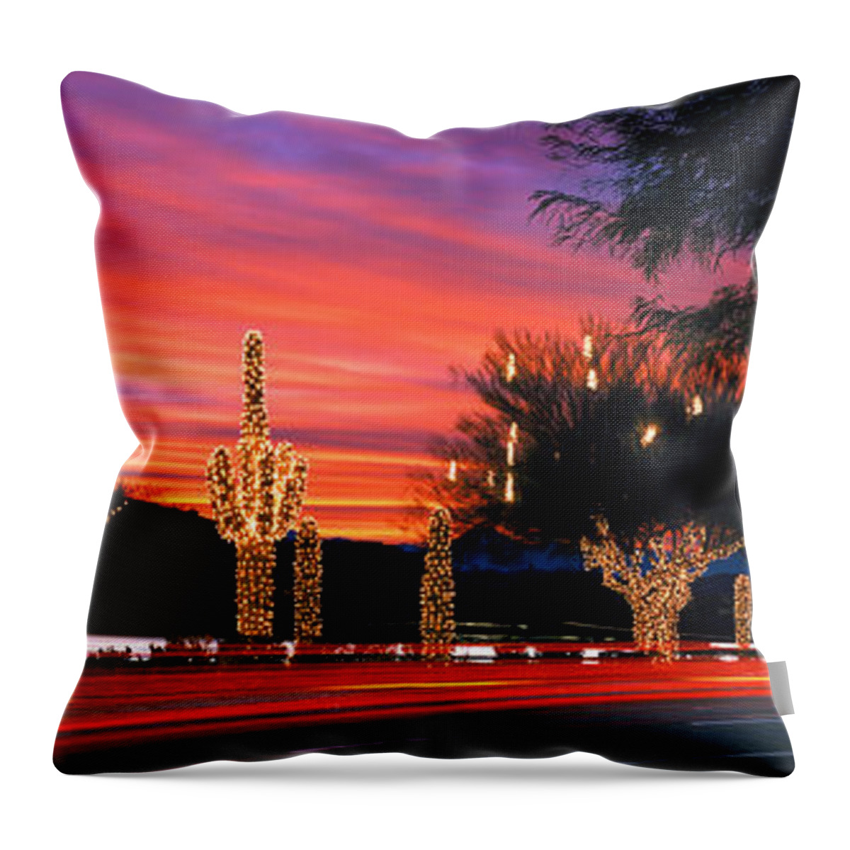 Photography Throw Pillow featuring the photograph Christmas, Phoenix, Arizona, Usa by Panoramic Images