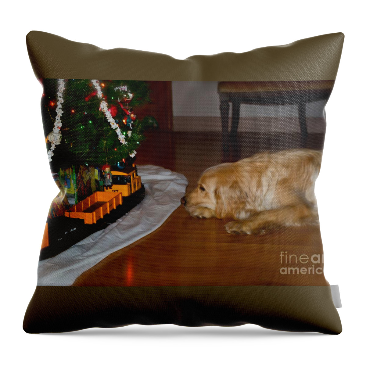 Christmas Cards Throw Pillow featuring the photograph Christmas Train by Frank J Casella