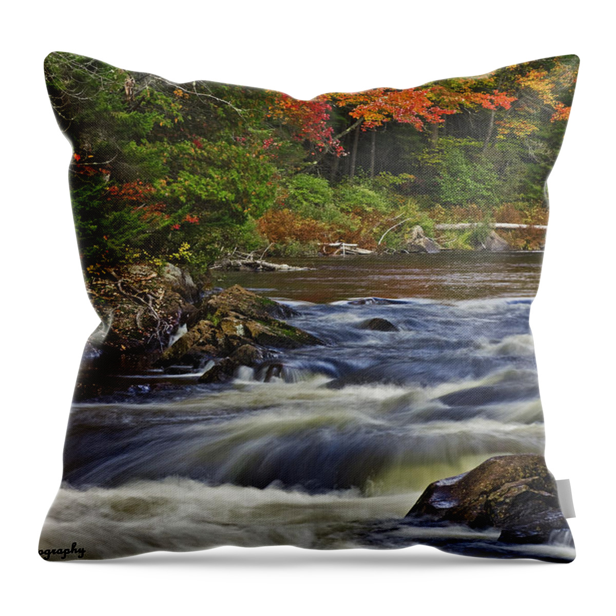 Waterfall Throw Pillow featuring the photograph Chute Croches by Hany J