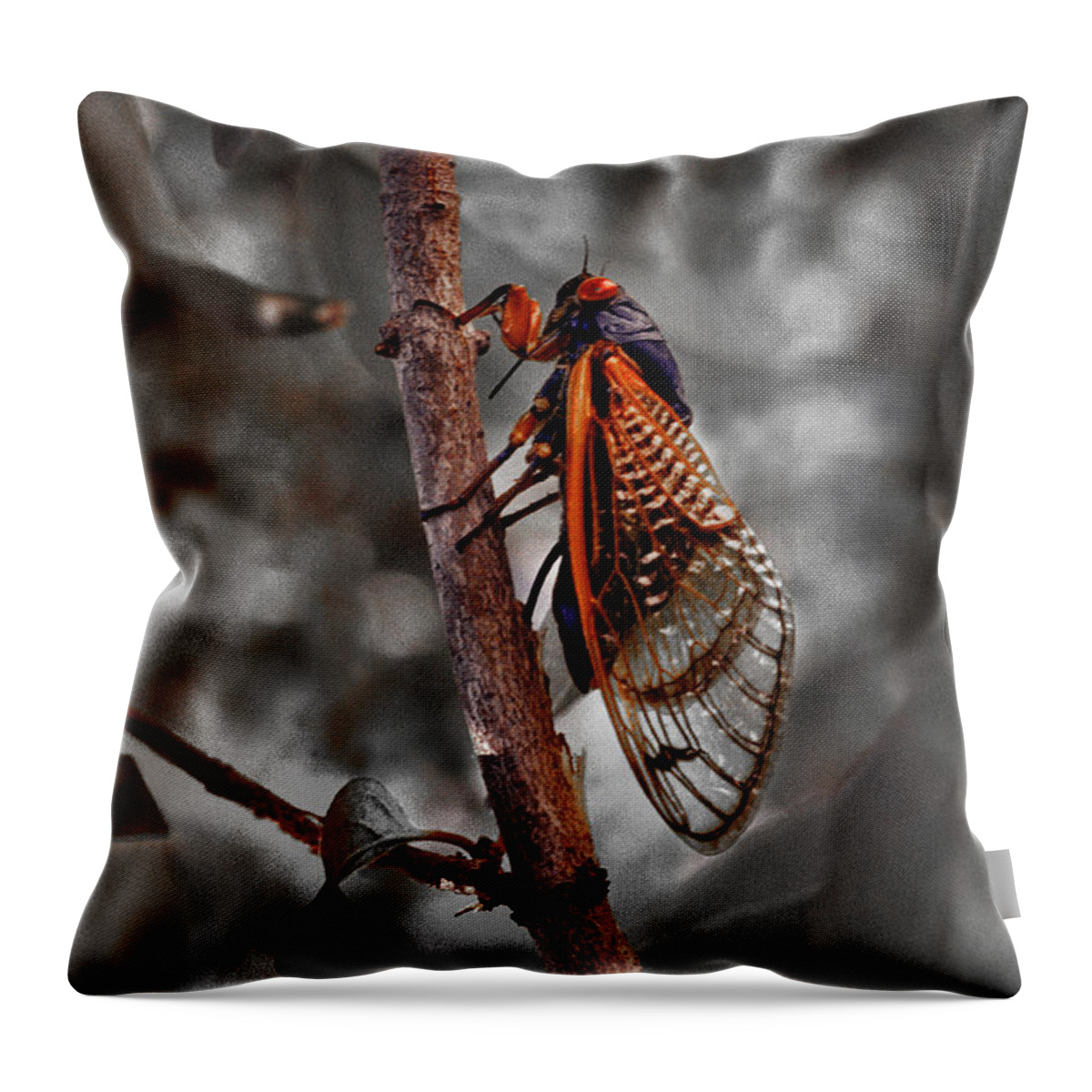 Cicada Throw Pillow featuring the photograph Cicada by Jamieson Brown