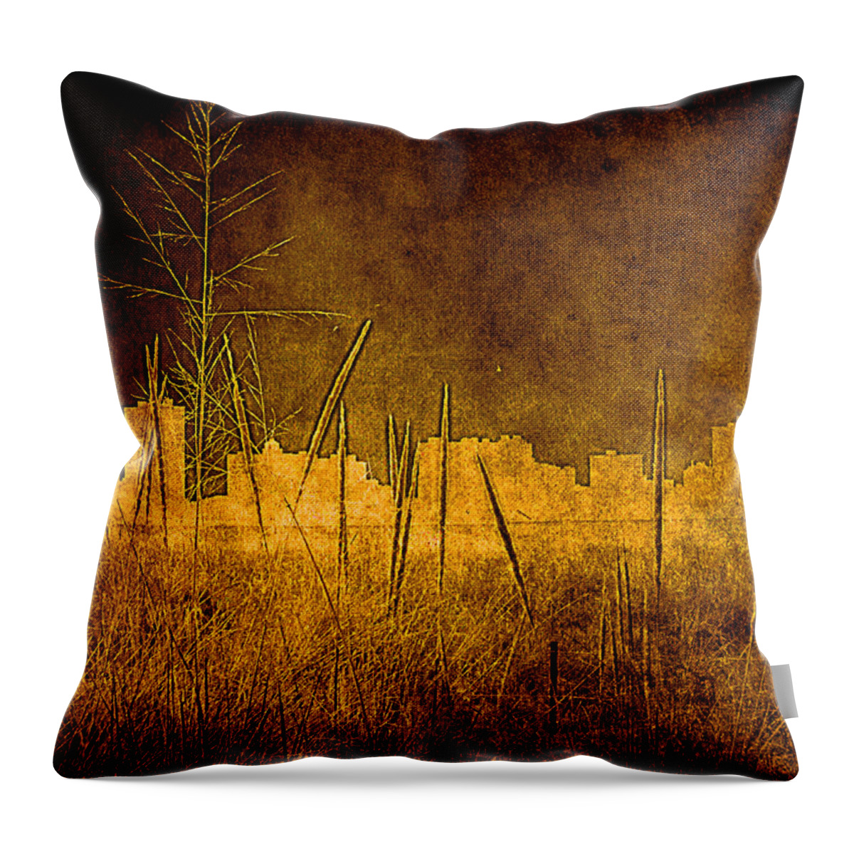City Throw Pillow featuring the photograph City Art by Milena Ilieva
