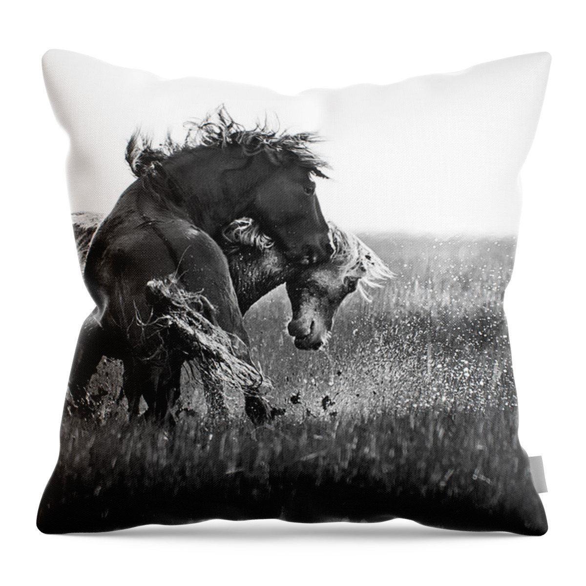 Wild Throw Pillow featuring the photograph Clash of Two Wild Stallions by Bob Decker