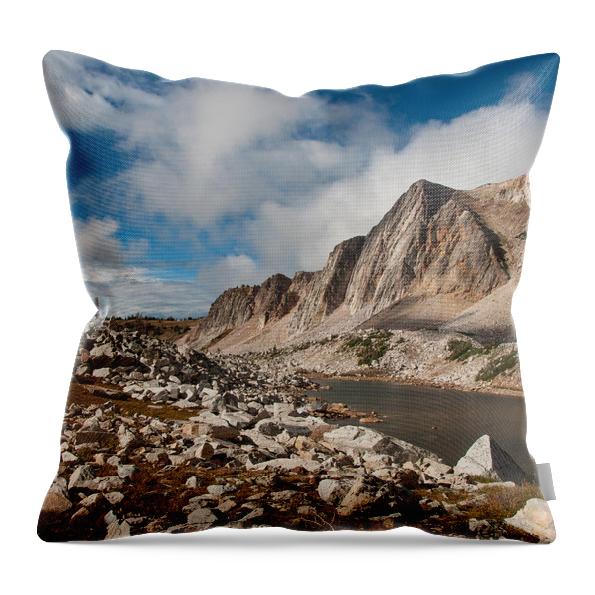 Wyoming Throw Pillow featuring the photograph Clearing Storm in the Medicine Bow by Gerald DeBoer