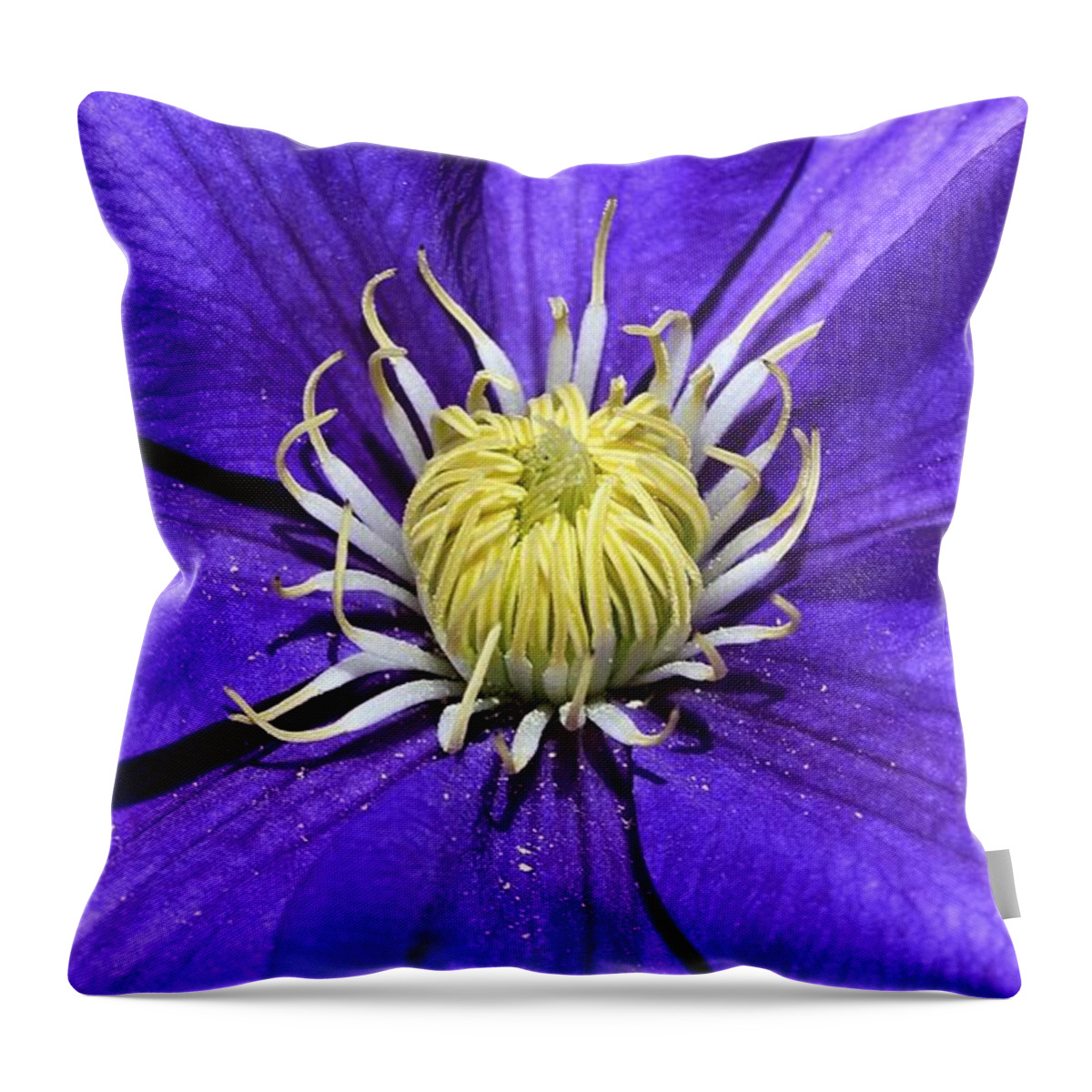 Clematis Throw Pillow featuring the photograph Clematis Queen of the Climbers by Andrea Lazar