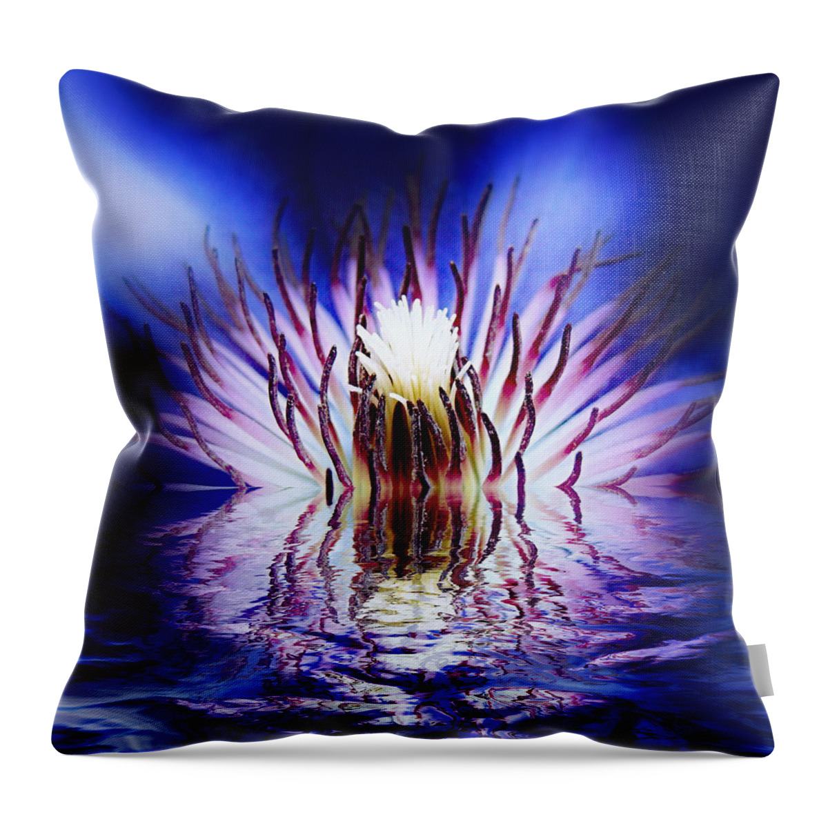 Clematis Throw Pillow featuring the photograph Clematis Rising by Nick Kloepping