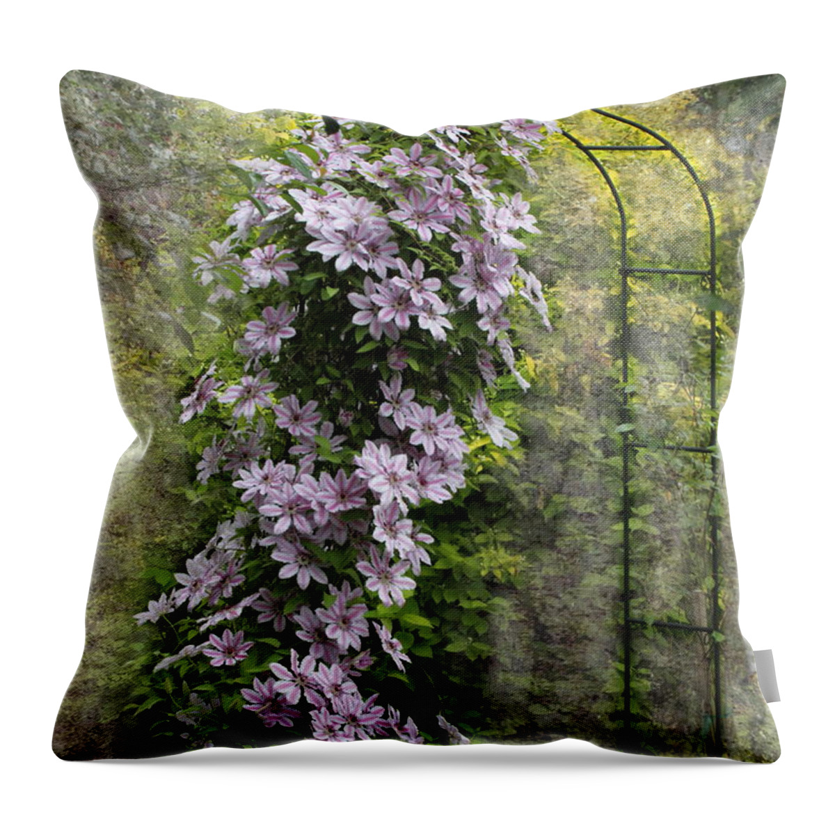 Clematis Throw Pillow featuring the photograph Climbing Clematis by Angie Vogel