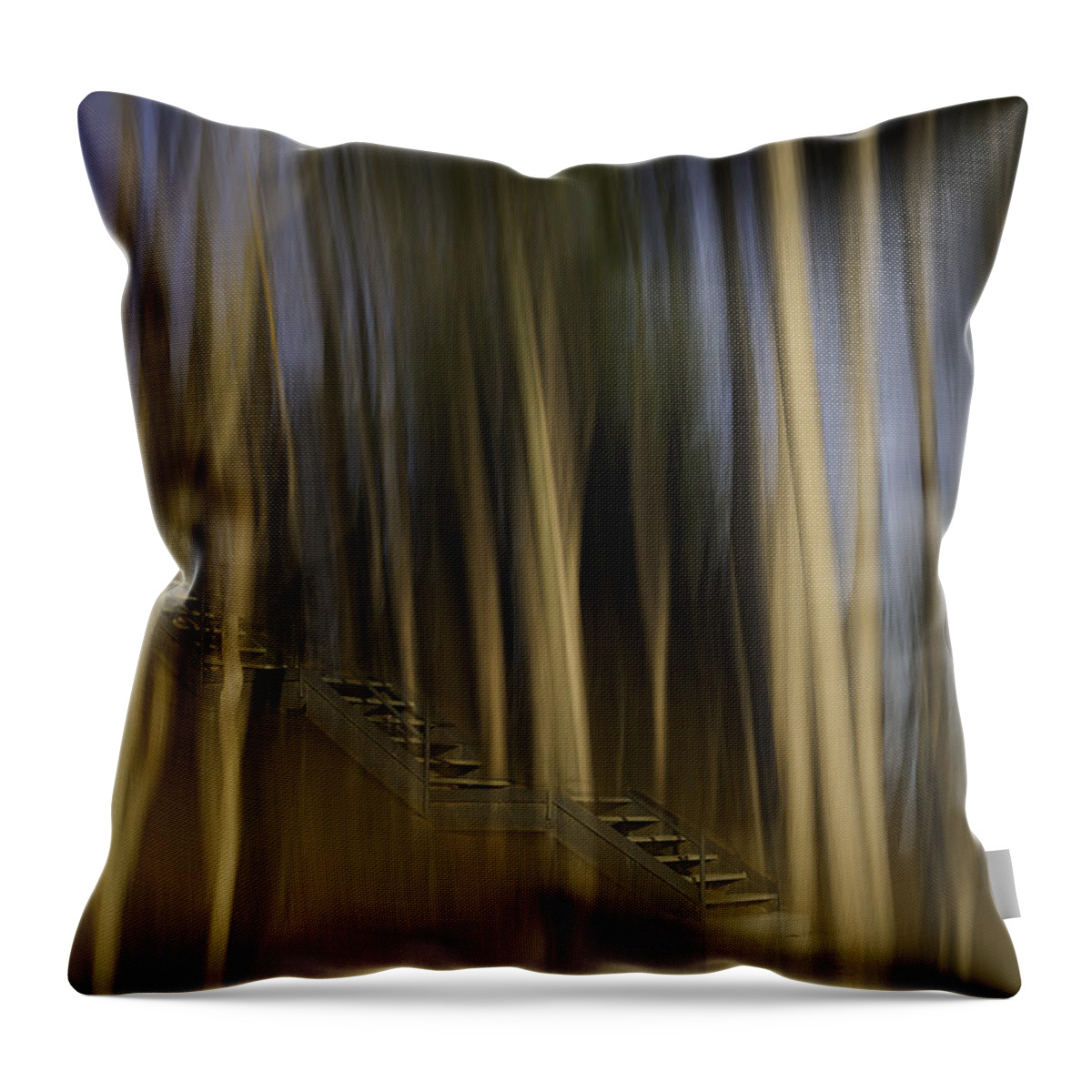 Abstract Throw Pillow featuring the photograph Climbing Stairs Into The Forest by Thomas Young