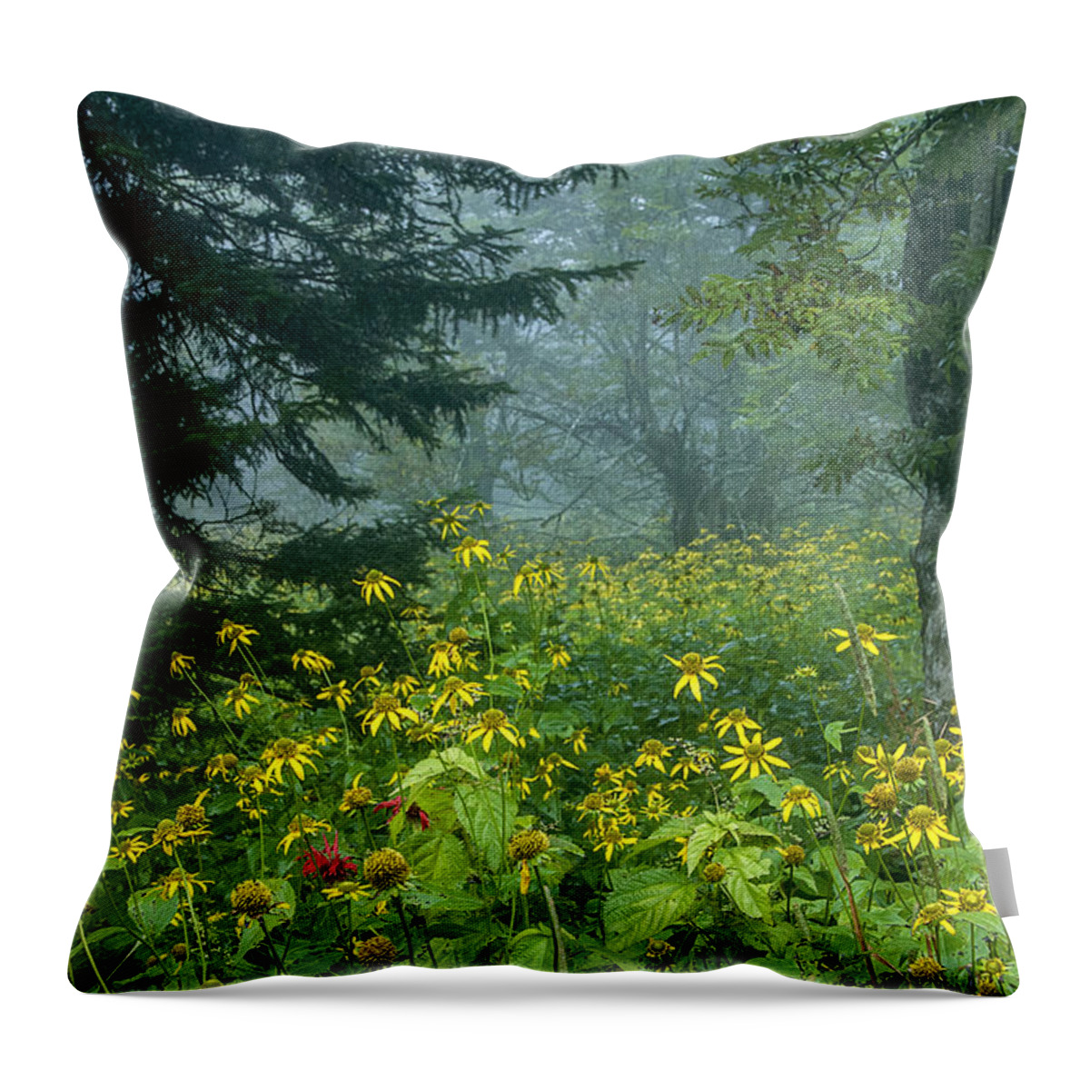Asters Throw Pillow featuring the photograph Clingman's Fog III by Carol Erikson