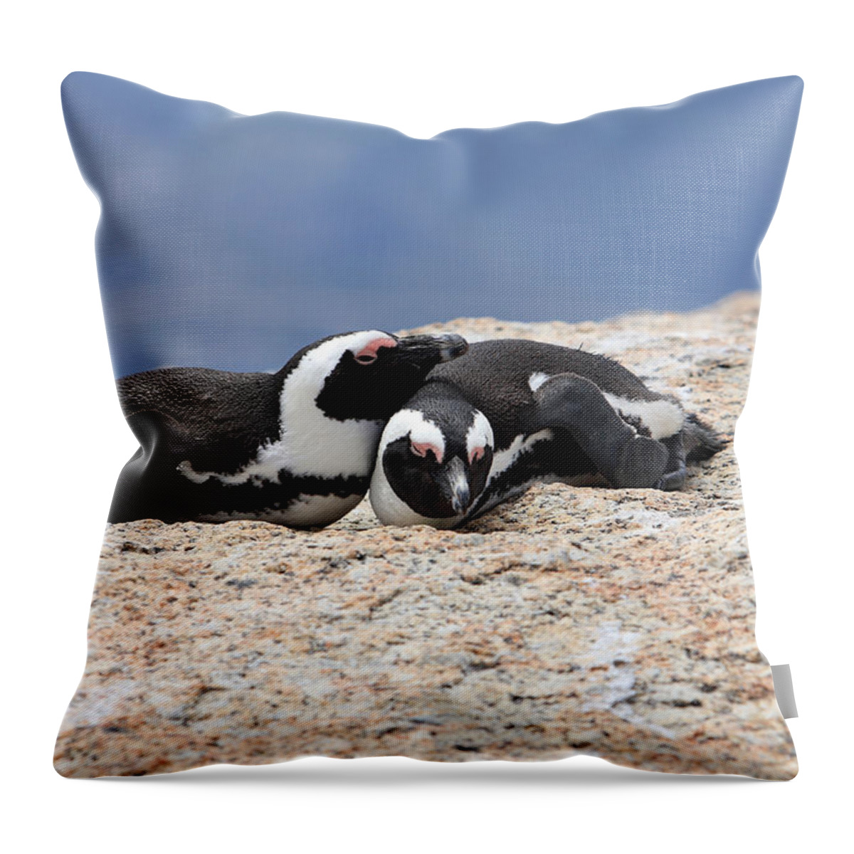Penguin Throw Pillow featuring the photograph Close Bonds, African Penguin by Aidan Moran