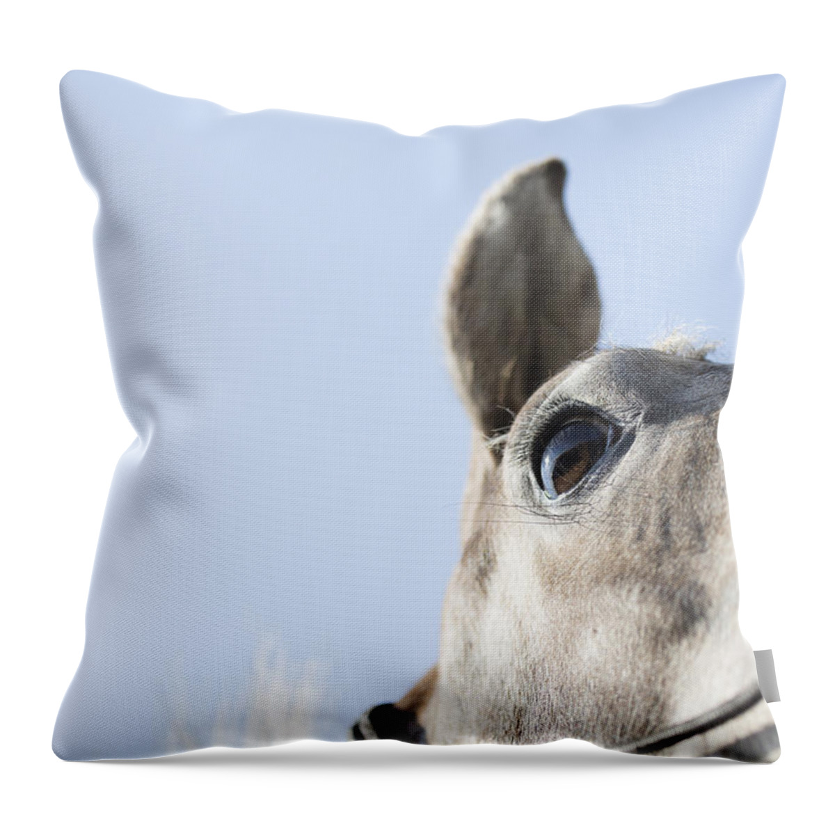 Horse Throw Pillow featuring the photograph Close-up by Caitlyn Grasso