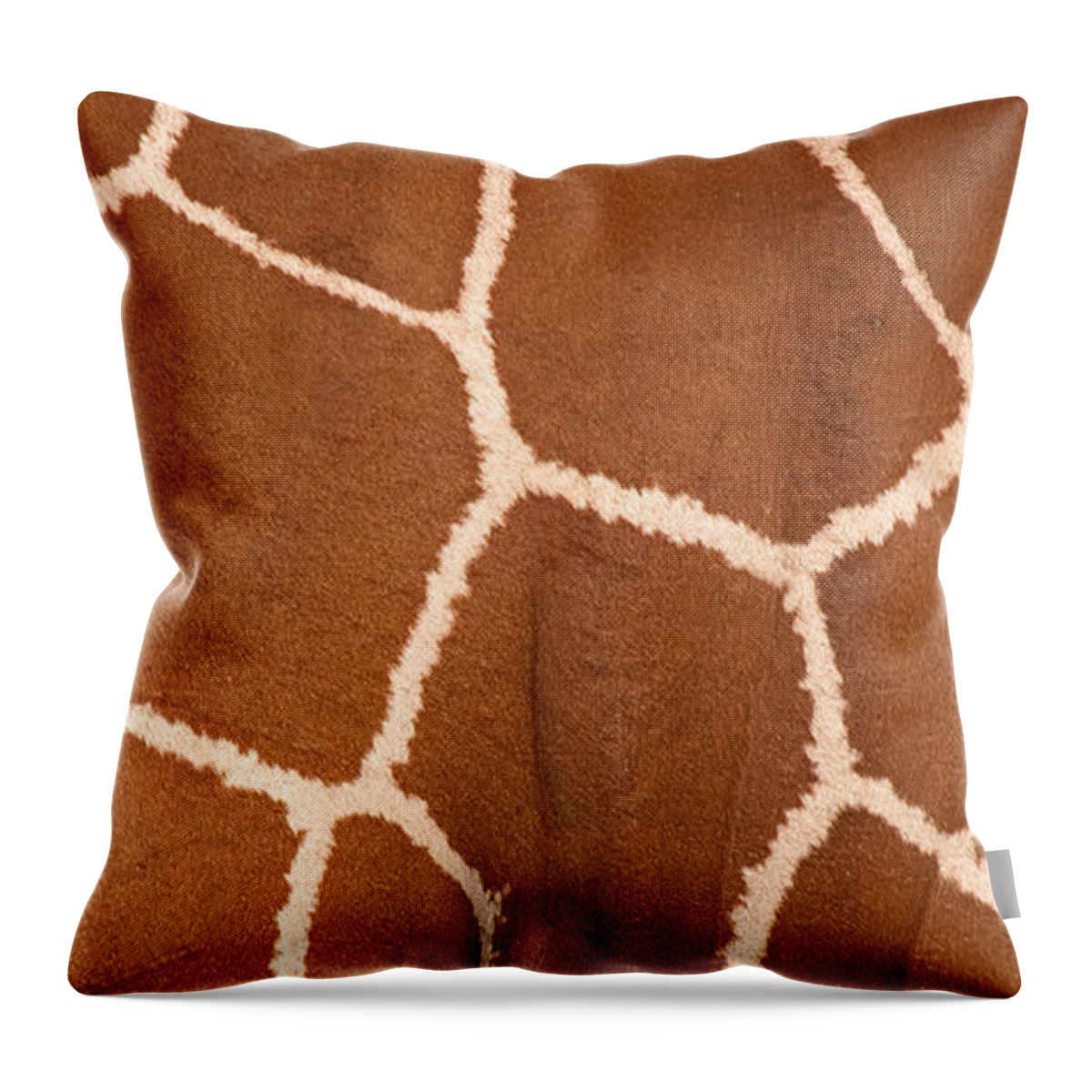 Photography Throw Pillow featuring the photograph Close-up Of A Reticulated Giraffe by Panoramic Images