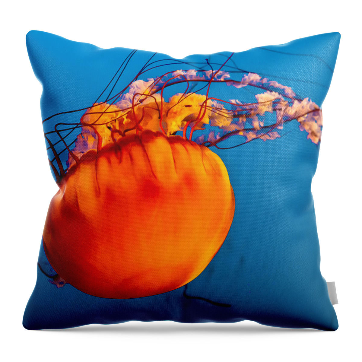 Jelly Fish Throw Pillow featuring the photograph Close up of a Sea Nettle jellyfis by Eti Reid