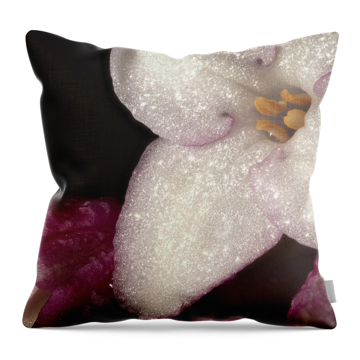 Daphne Odora Throw Pillow featuring the photograph Close up of Daphne Odora by Jean Noren