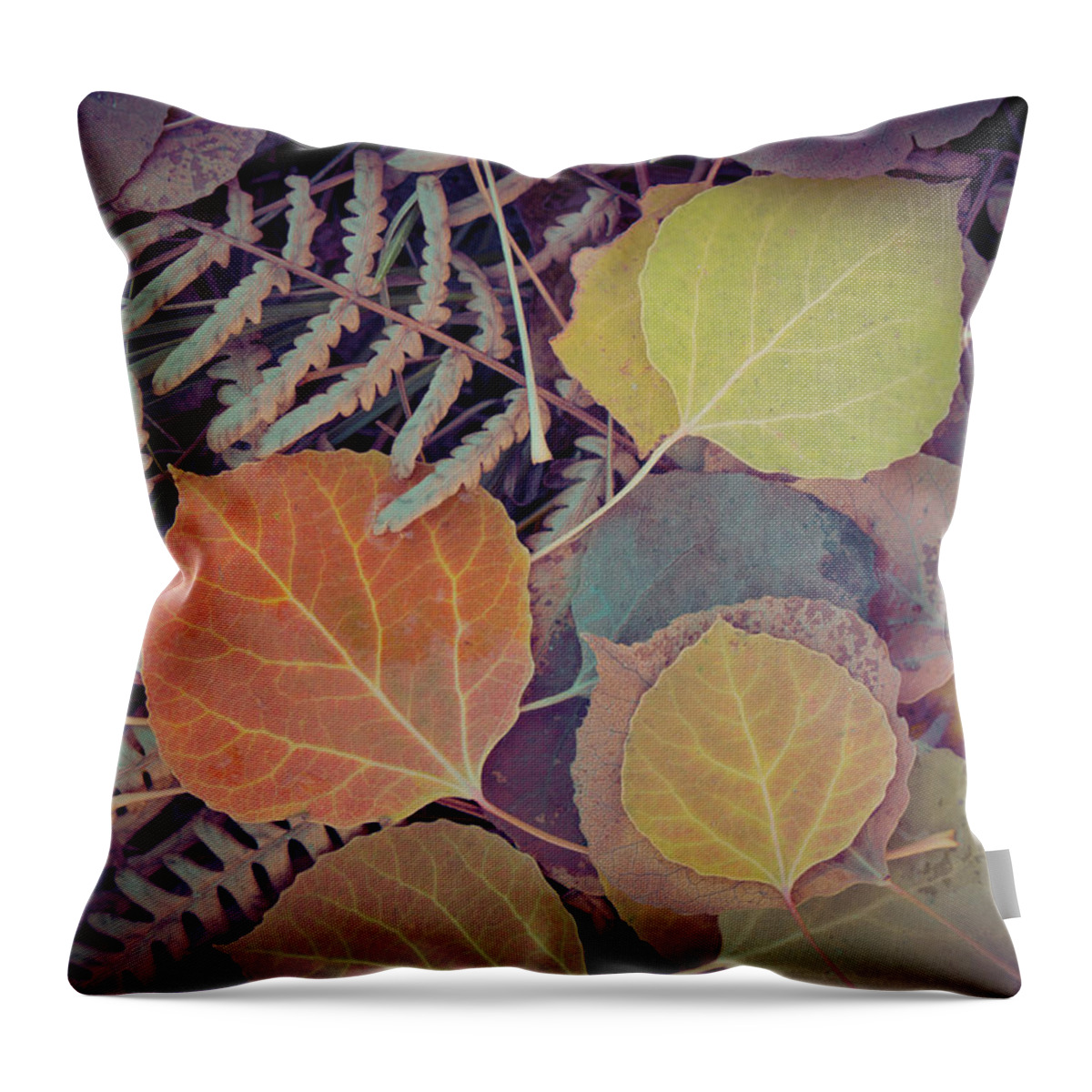Aspen Leaf Throw Pillow featuring the photograph Close-up Of Fall Foliage, Colorado by Karen Desjardin