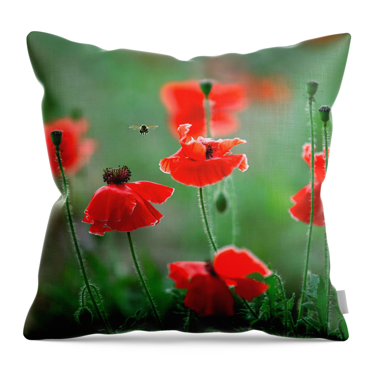 Scenics Throw Pillow featuring the photograph Close-up Of Honeybee by View Stock