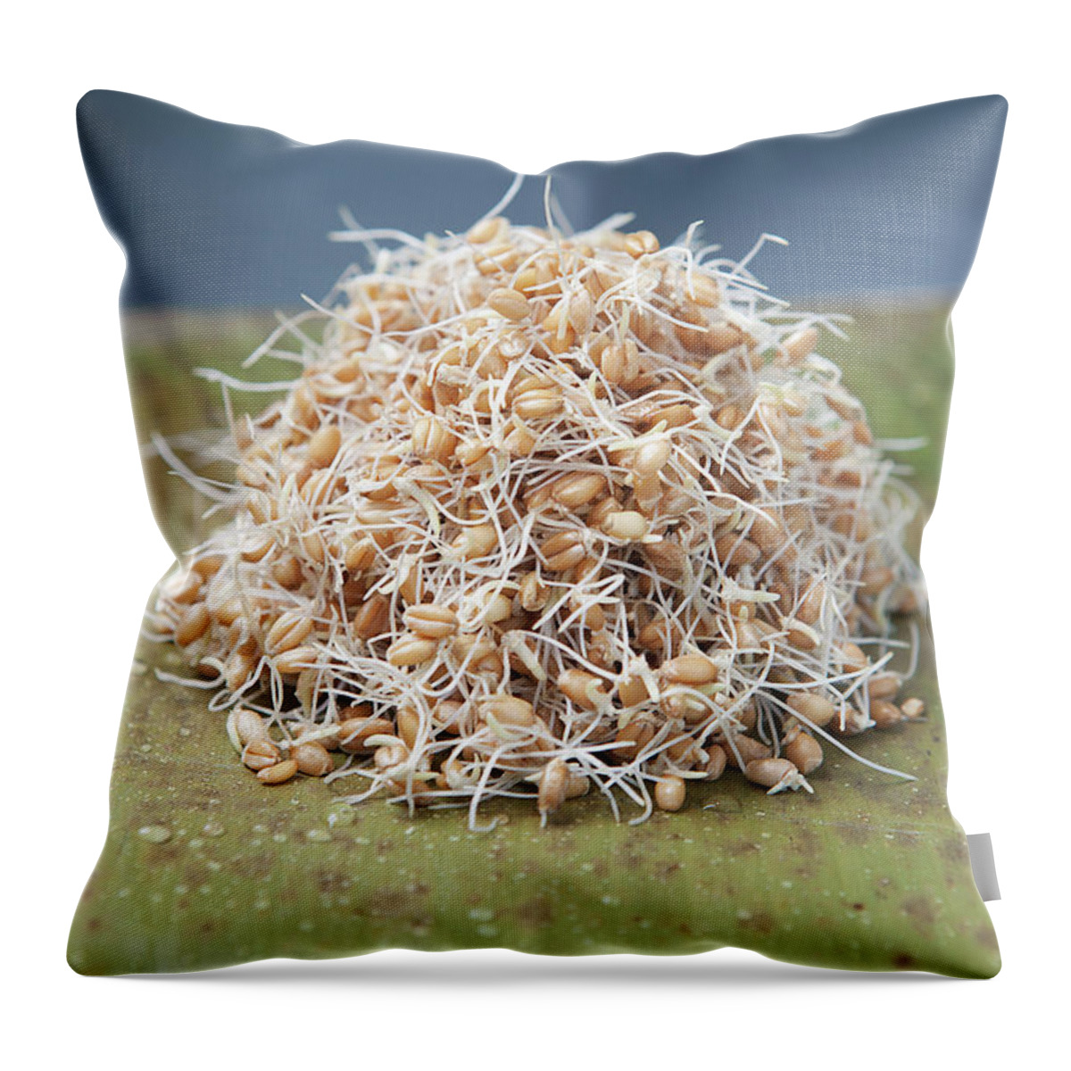 Heap Throw Pillow featuring the photograph Close Up Of Pile Of Sprouts by Laurie Castelli