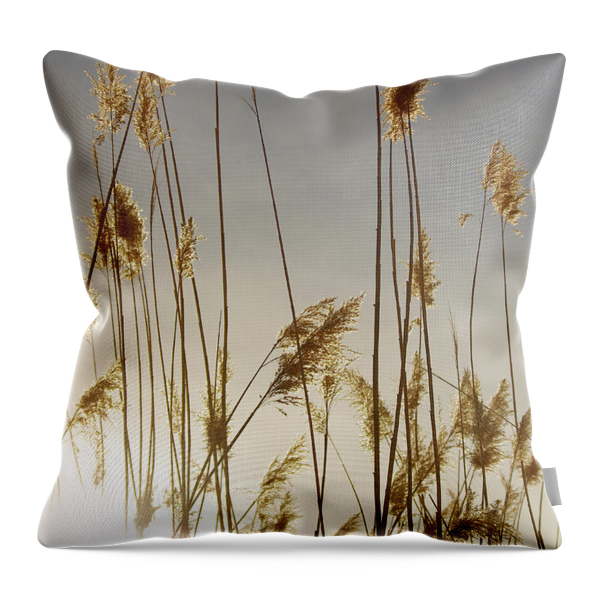 Photography Throw Pillow featuring the photograph Closer to Home by Vicki Pelham