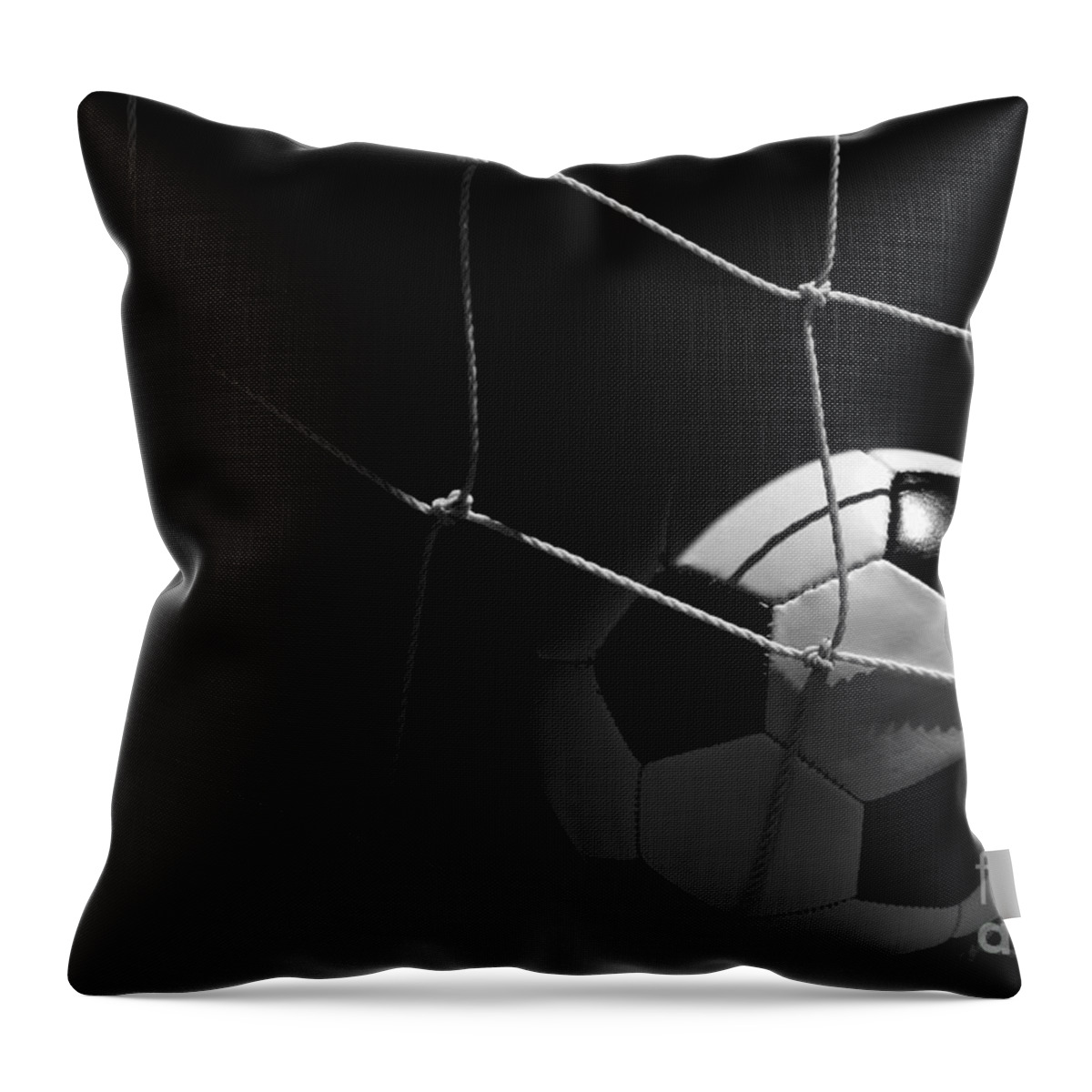Ball Throw Pillow featuring the photograph Closeup of Soccer Ball in Goal by Danny Hooks