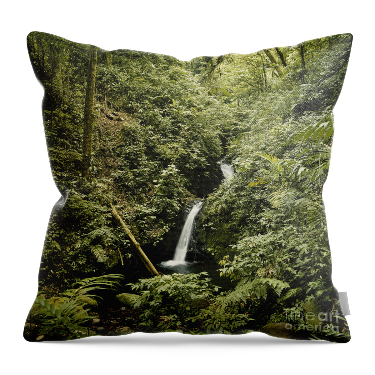 Waterfall Throw Pillow featuring the photograph Cloud Forest Waterfall by Gregory G. Dimijian, M.D.