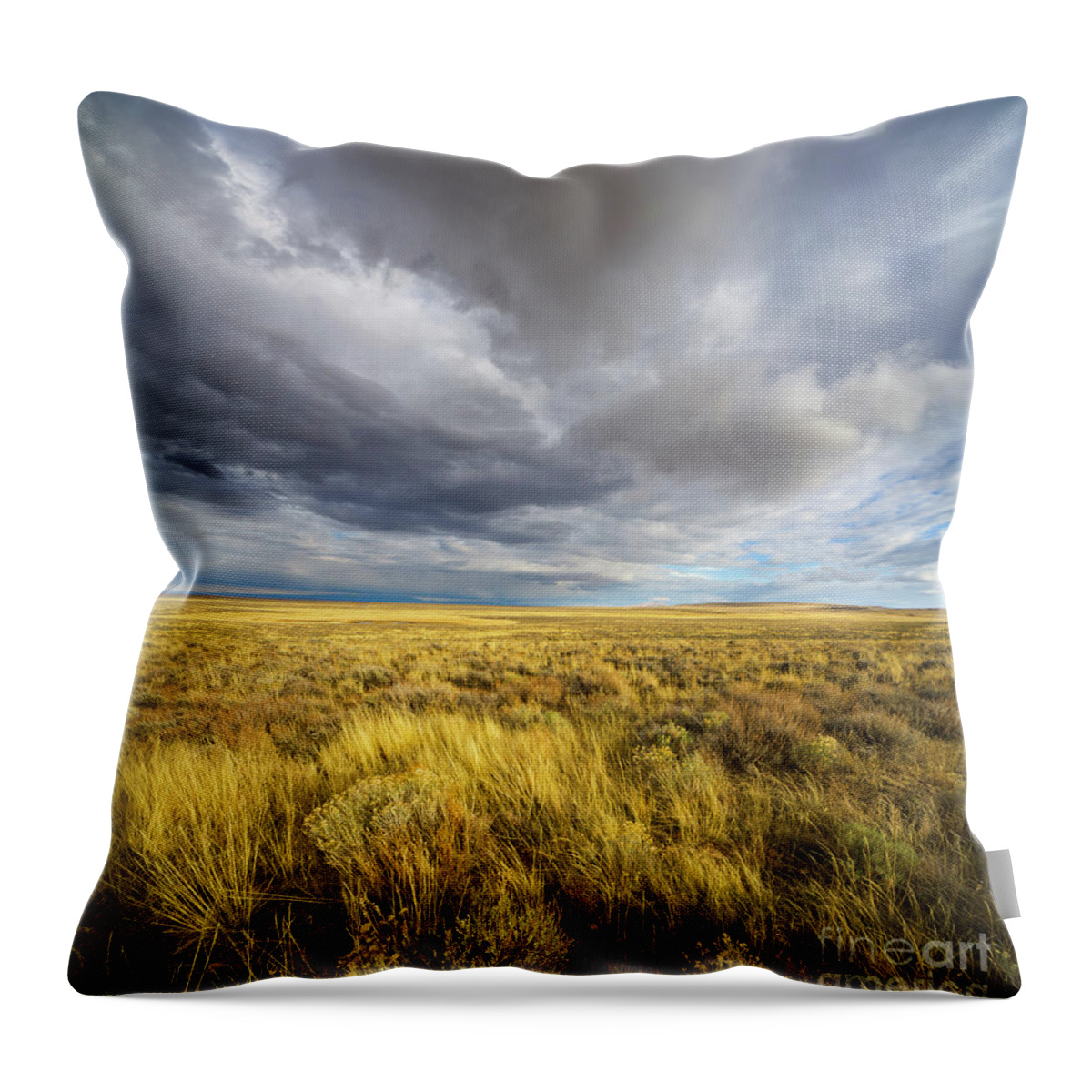 00463511 Throw Pillow featuring the photograph Clouds and Prairie Hart Mt N R by Yva Momatiuk John Eastcott