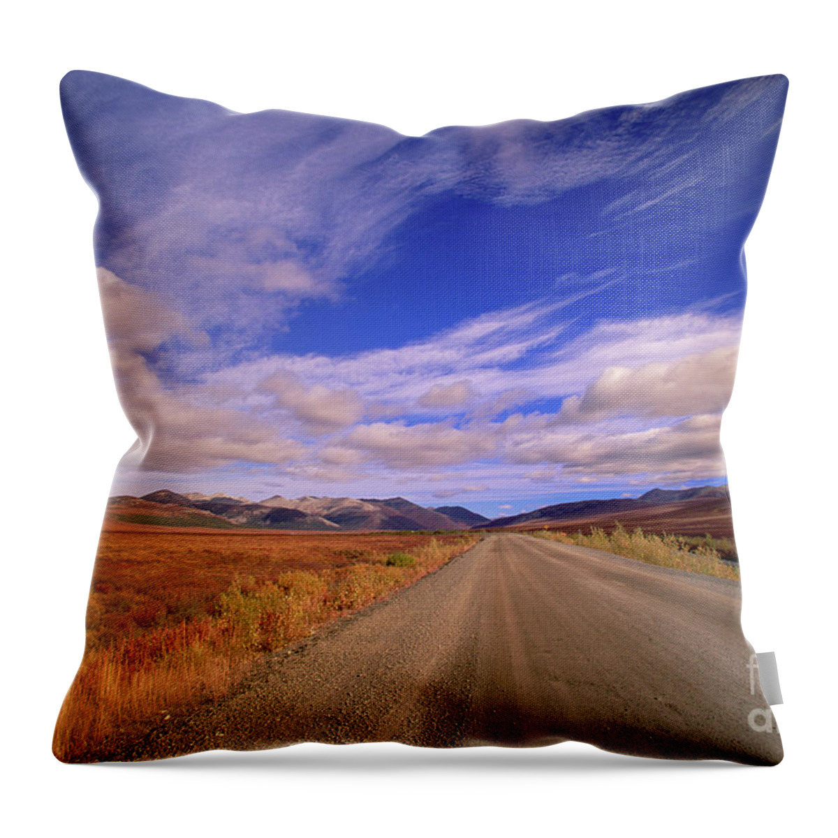 00341510 Throw Pillow featuring the photograph Clouds Over Fall Tundra by Yva Momatiuk John Eastcott
