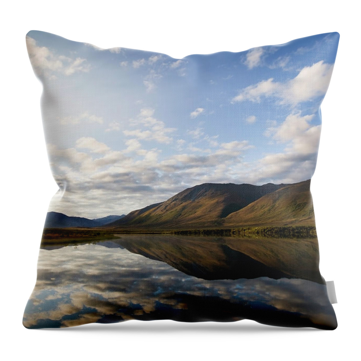 Tranquility Throw Pillow featuring the photograph Clouds Reflected In Noatak River And by Scott Dickerson / Design Pics