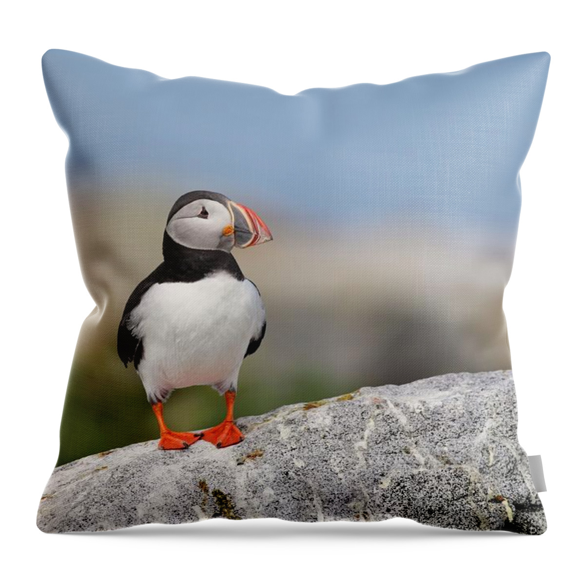 Atlantic Throw Pillow featuring the photograph Clowning Around by Daniel Behm