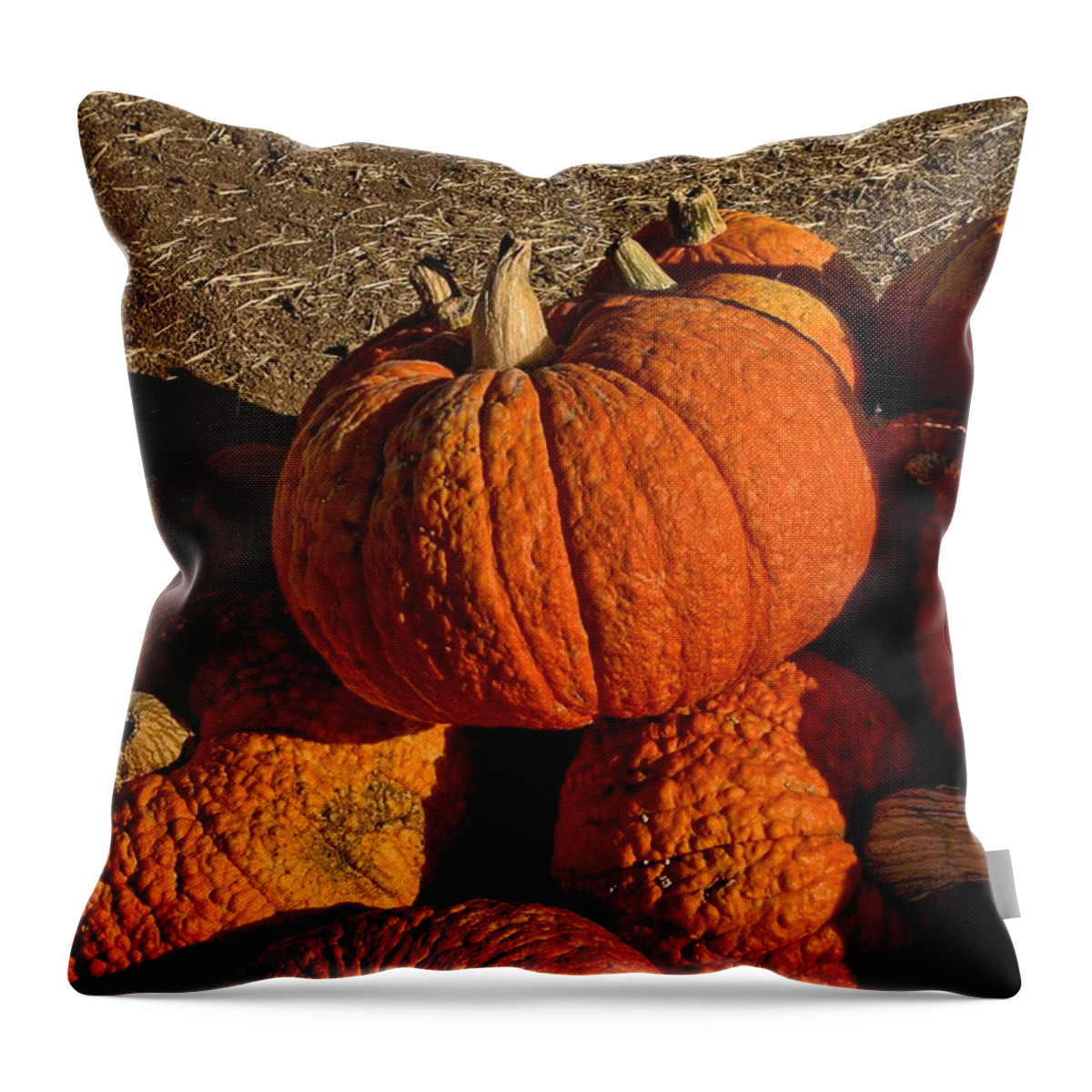 Fall Throw Pillow featuring the photograph Knarly Pumpkin by Michael Gordon