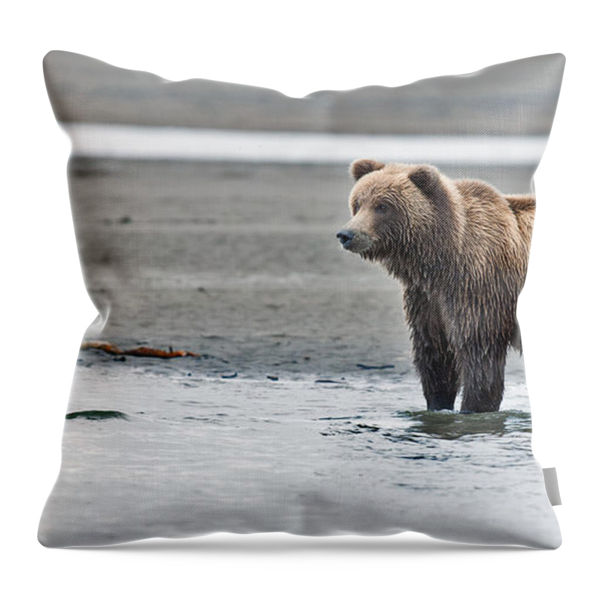 Coastal Throw Pillow featuring the photograph Coastal Brown Bear Standing Salmon watch by Gary Langley
