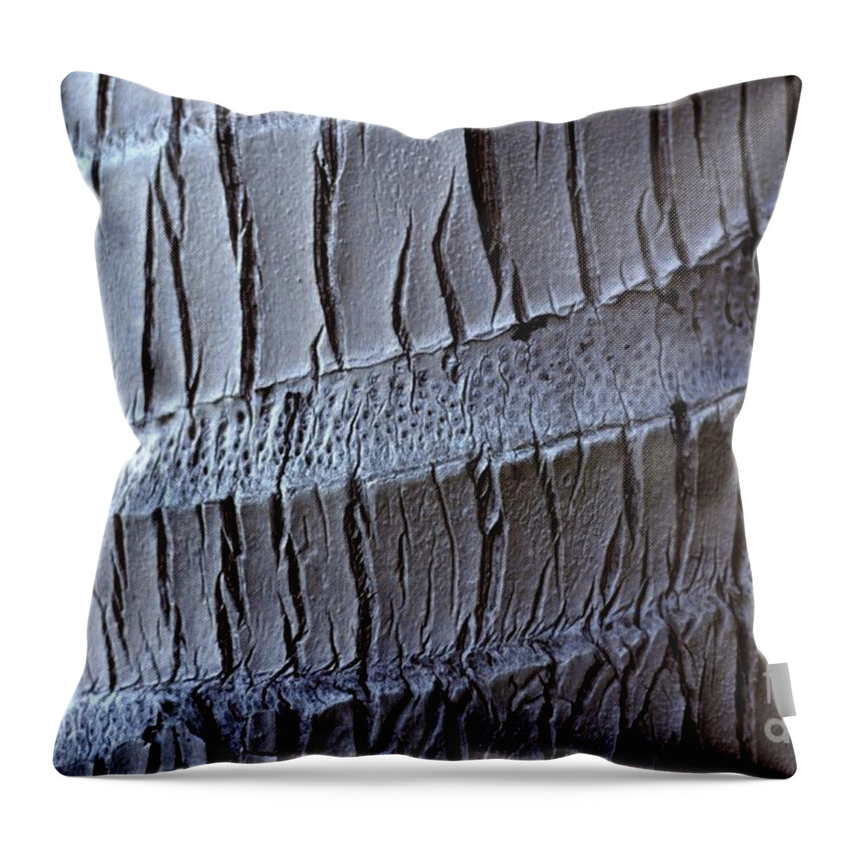Coconut Palm Throw Pillow featuring the photograph Coconut Palm Bark - Koh Samui by Anna Lisa Yoder