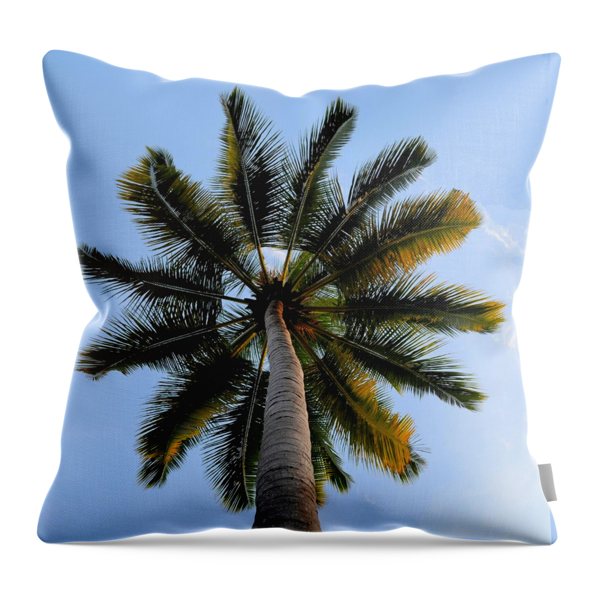 Tranquility Throw Pillow featuring the photograph Coconut Tree by My Image