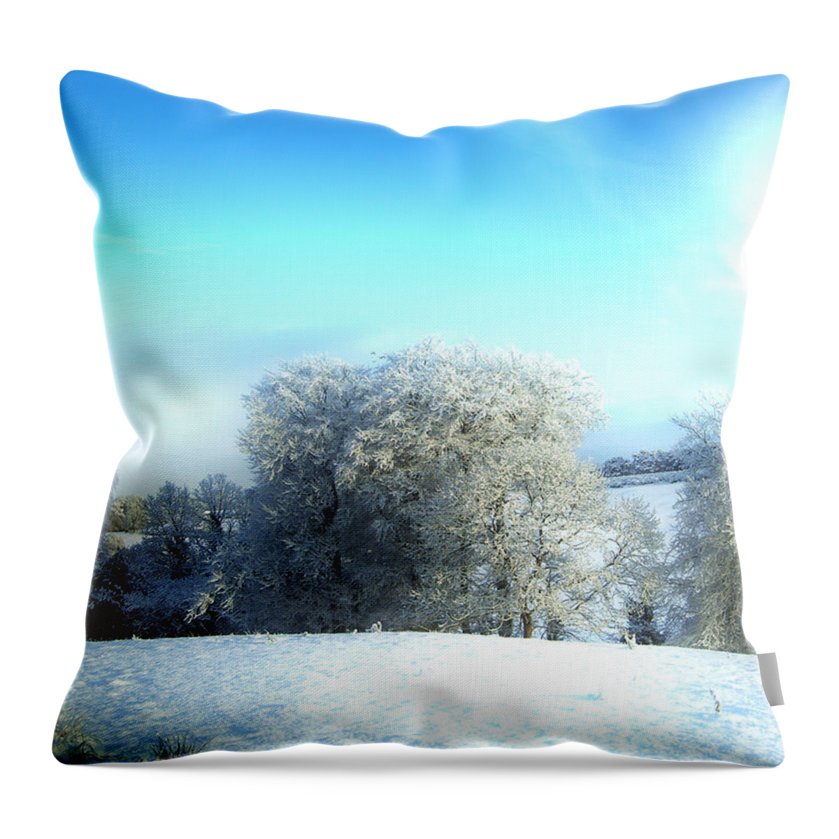 Winter Throw Pillow featuring the photograph Cold Blue by Nina Ficur Feenan