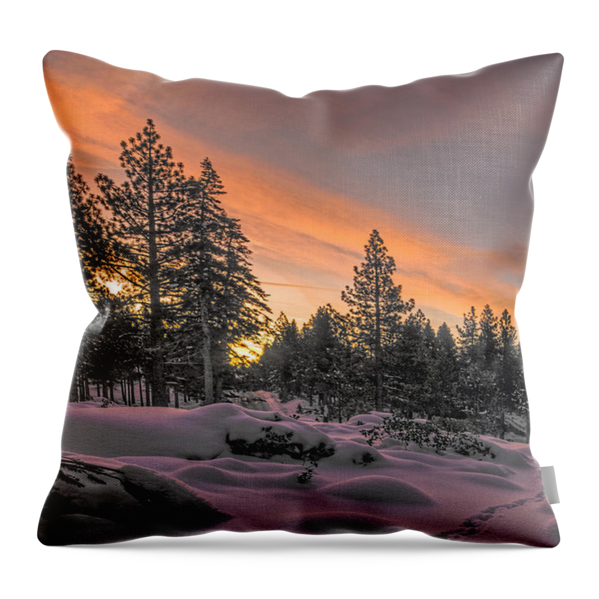 Landscape Throw Pillow featuring the photograph Cold Morning by Maria Coulson